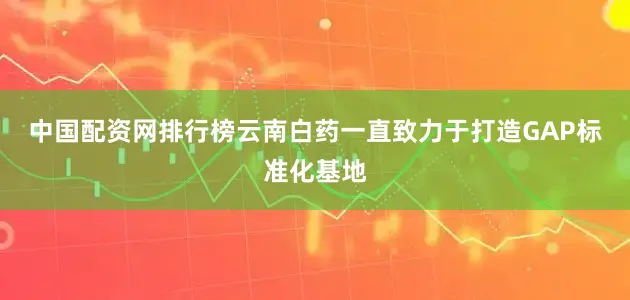 中国配资网排行榜云南白药一直致力于打造GAP标准化基地